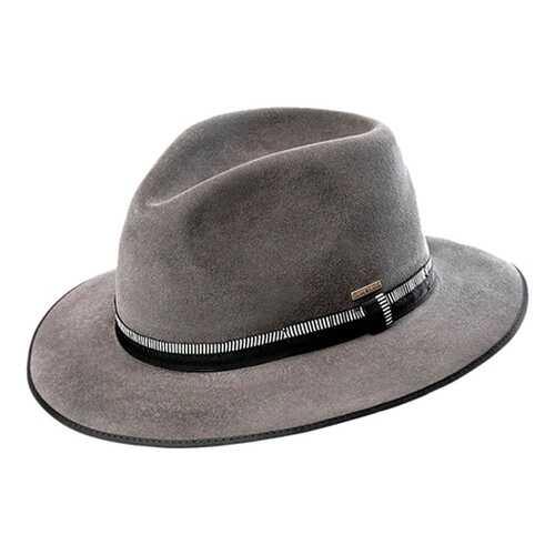 Шляпа мужская Pierre Cardin MICHEL PC-Z07-8348 серая M в H&M