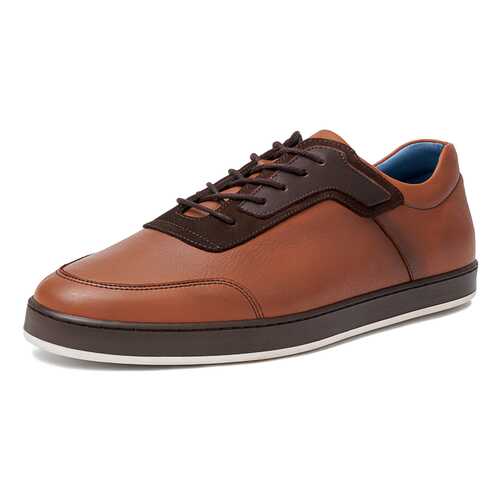 Кеды мужские Pierre Cardin TR-CR-1601 коричневые 41 RU в H&M