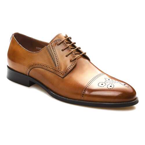 Туфли мужские El Tempo CCH62_BS368-705-1 коричневые 39 EU в H&M
