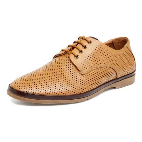 Туфли мужские Pierre Cardin 710017657 коричневые 41 RU в H&M