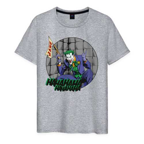 Футболка мужская ВсеМайки 1945429 серая L в H&M