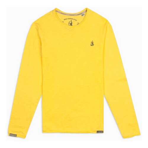 Лонгслив мужской Великоросс L4510 желтый 46 в H&M