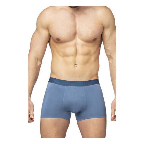 Трусы мужские SERGIO DALLINI SD2901 серые M в H&M